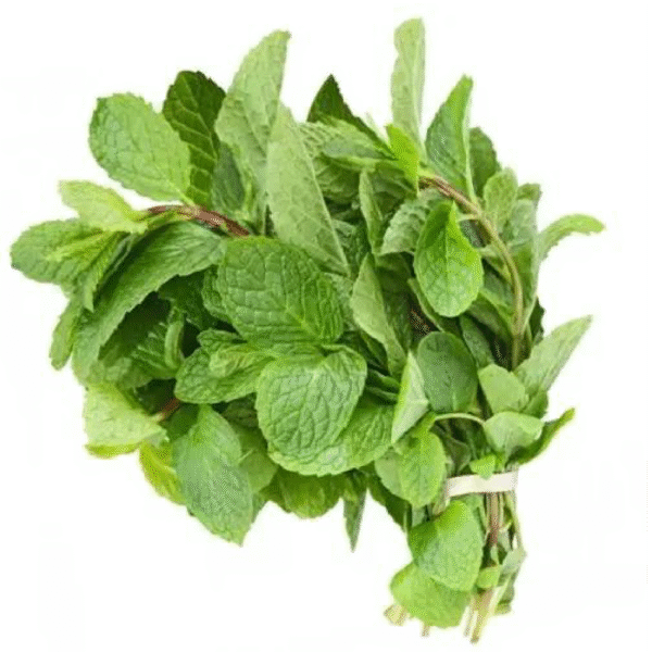 نعناع