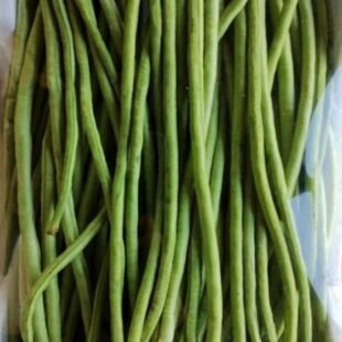 لوبيا خضراء