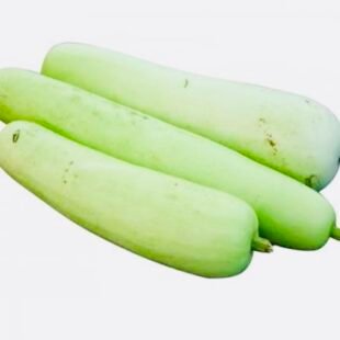 قرع اخضر محمي