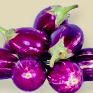 باذنجان ملون