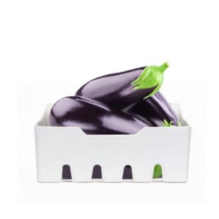 باذنجان اسود