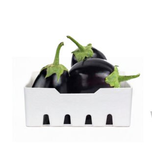 باذنجان اسود صغير