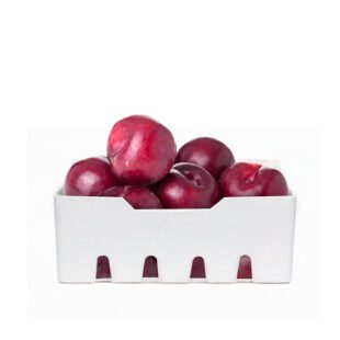 برقوق  احمر